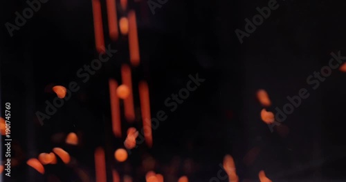 Masoor Dal split red lentils dropping over black background