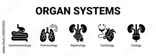 Organ Systems web banner icon concept, with Gastroenterology, Pulmonology, Nephrology.