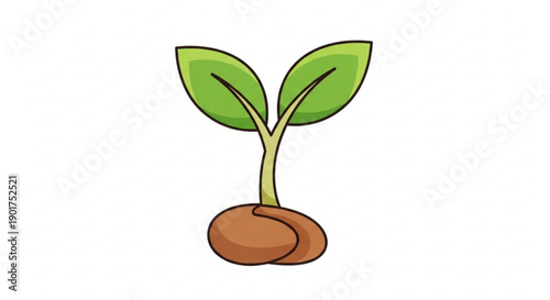 A small green plant sprout with two leaves growing from brown soil on white background symbolizing growth and new life