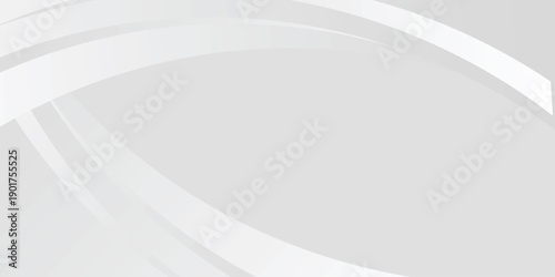 Abstract minimalist white and gray curve modern background. texture white pattern. modern design background