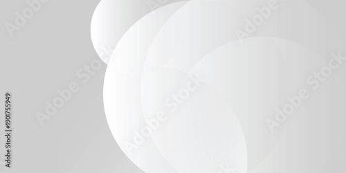 Abstract minimalist white and gray curve modern background. modern design futuristic vector eps10