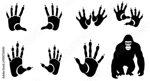 Collection of Animal Paw and Hand Prints Silhouettes.