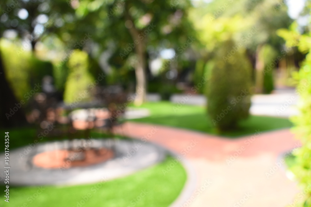 Fototapeta premium abstract blur garden in the morning, exterior garden design