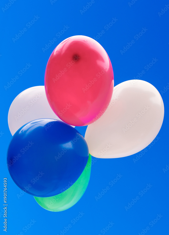 custom made wallpaper toronto digitalBallons 