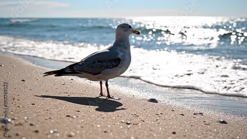 Wallpaper Mural Seagull stands on sand beside sparkling ocean waves under clear sky Torontodigital.ca