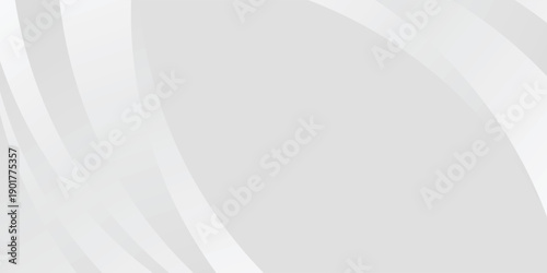 Abstract minimalist white and gray curve modern background. texture white pattern. modern design background