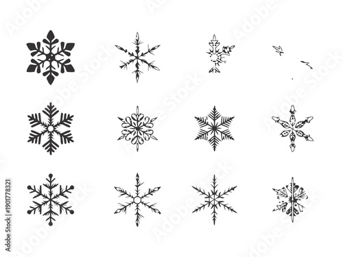 Collection of twelve diverse snowflake illustrations, featuring intricate designs and varied shapes, perfect for winter themes and holiday decoration graphics