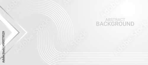 Minimal white abstract background with soft gray curved lines, modern clean wave pattern for corporate presentation, technology branding, website header and print design.
