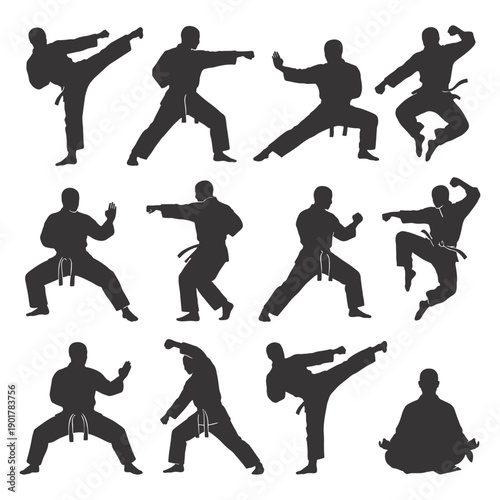Karate martial arts vector silhouettes set. Judo, taekwondo, kung fu fighter poses, kicks, punches, and meditation isolated on white.