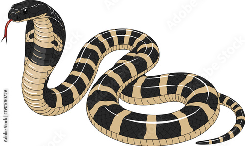 Cobra Snake Illustration with Coiled Body and Open Hood Showing Venomous Reptile Wildlife Concept Flat Vector Design