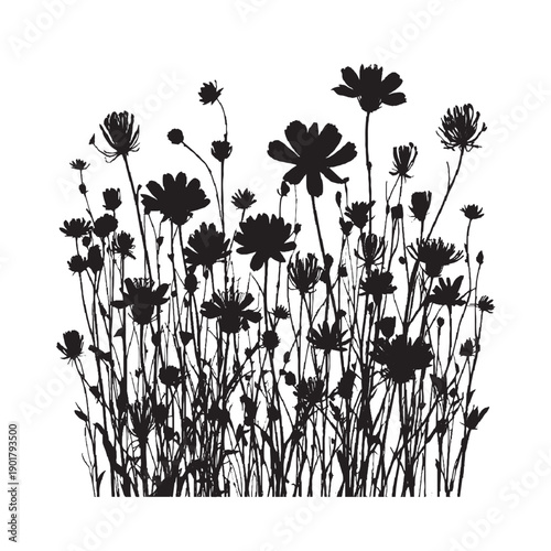 Simple black and white illustration depicting six cosmos flower arrangements .