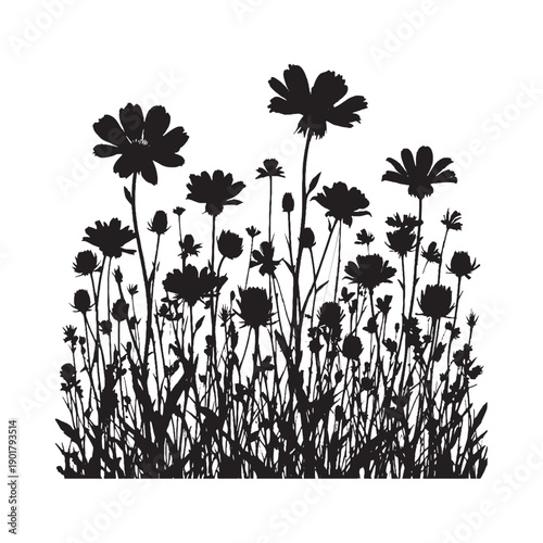 black and white illustration depicting six cosmos flower arrangements on a clean isolated white background