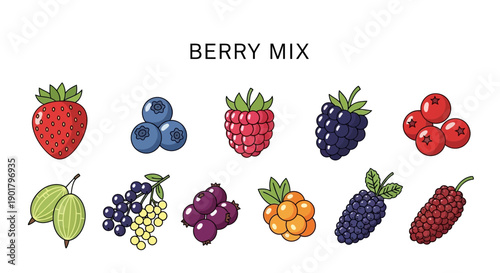 A collection of ten different types of berries arranged in two rows under the title BERRY MIX