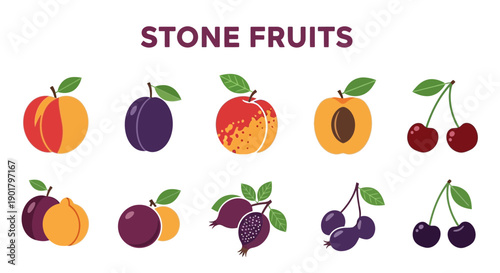 Flat graphic illustration of various stone fruits including peaches plums apricots cherries and pomegranates