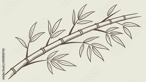 Elegant bamboo branch with leaves for nature designs