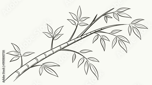 Elegant bamboo branch with lush green leaves for nature designs