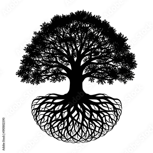 Silhouette of a Majestic Tree with Roots and Branches - Centered Illustration Viewed from Front