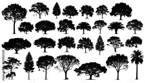 Silhouetted trees of varying shapes and sizes arranged in neat rows