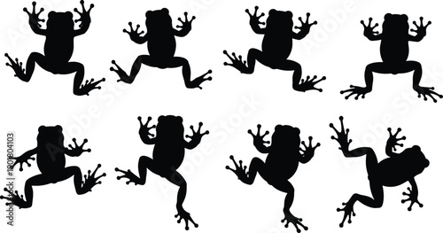 Vector, black, silhouette, illustration, set, of, various, tropical, frogs, in, different, jumping, and, climbing, poses, for, nature, wildlife, jungle, and, exotic, amphibian, design