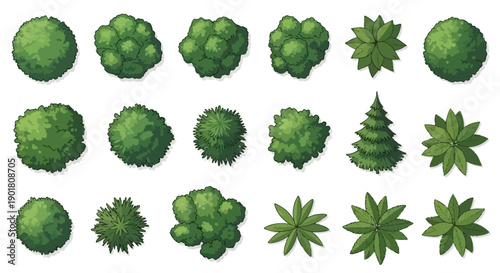 A collection of various green trees and bushes viewed from above, presented in a top-down perspective.