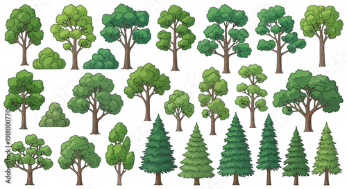 A diverse collection of various deciduous and coniferous trees, including bushes, presented in a flat, illustrative style against a white background.