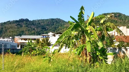 Wallpaper Mural Panoramic view tropical landscape mountains city beach Patong Phuket Thailand. Torontodigital.ca