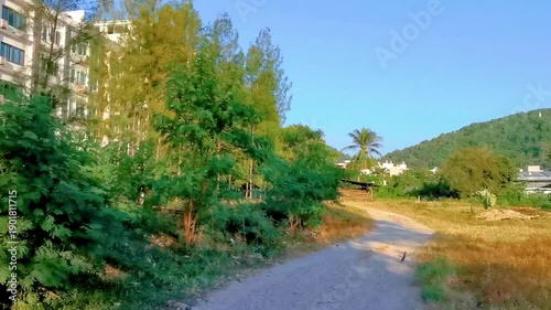 Wallpaper Mural Panoramic view tropical landscape mountains and path Patong Phuket Thailand. Torontodigital.ca