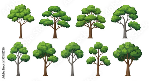 Collection of various green trees with different shapes and sizes, illustrating diverse plant life and natural elements.
