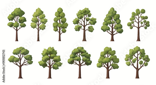 A collection of various stylized green trees with different shapes and foliage, isolated on a white background.