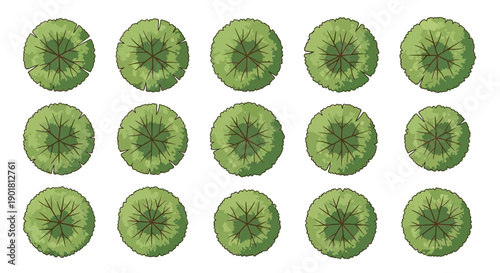 Top-down view of fifteen green trees or bushes arranged in rows, isolated on white background.