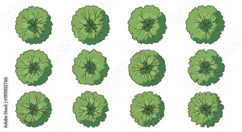 Top-down view of twelve green trees with varied foliage shapes and shadows.