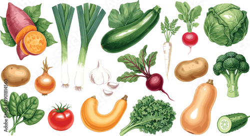 Set of fresh organic vegetables featuring sweet potato leeks zucchini radish cabbage beetroot butternut squash and leafy greens on grey background