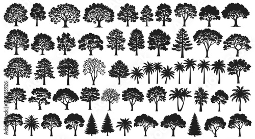 A comprehensive collection of diverse tree silhouettes, showcasing a variety of species and shapes.