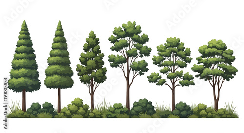 A collection of various green trees and bushes in a row, showcasing different shapes and sizes of foliage.