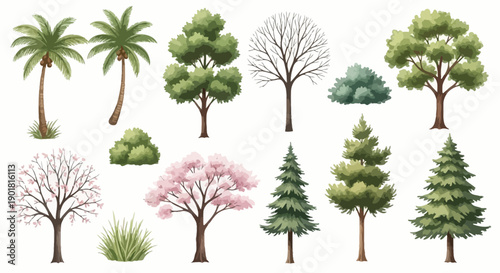 A diverse collection of illustrated trees and bushes, showcasing various species and seasons.