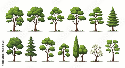 A collection of diverse trees, showcasing various shapes, sizes, and species, rendered in a detailed illustration style.