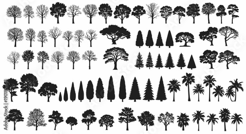 A comprehensive collection of diverse tree silhouettes, showcasing various species and growth stages.
