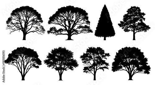 A collection of eight distinct tree silhouettes, showcasing a variety of shapes and sizes, including deciduous and coniferous varieties.