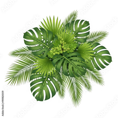A vibrant arrangement of tropical monstera and palm leaves on transparent background