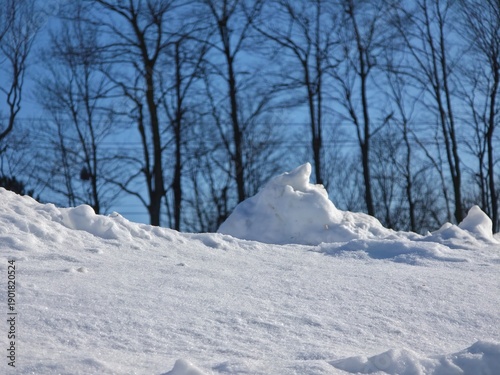 Dense snow under sunlight with trees in the background.