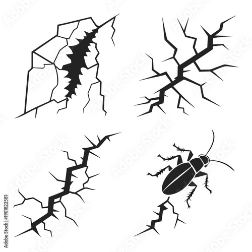 Fotografie Four different types of insects with a focus on their legs and bodies Vector