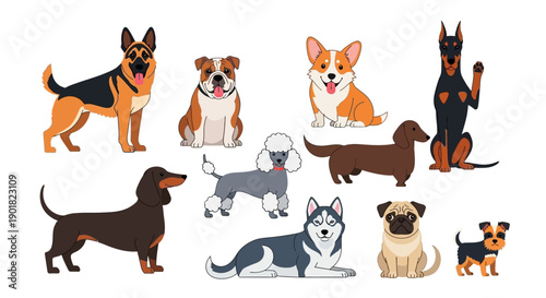 A diverse collection of popular dog breeds, including German Shepherd, Bulldog, Corgi, Doberman, Dachshund, Poodle, Husky, Pug, and Yorkshire Terrier, depicted in a vibrant illustration.