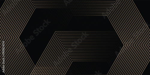 Abstract glowing geometric lines on black background. Modern shiny hexagon lines pattern. vector illustration eps10