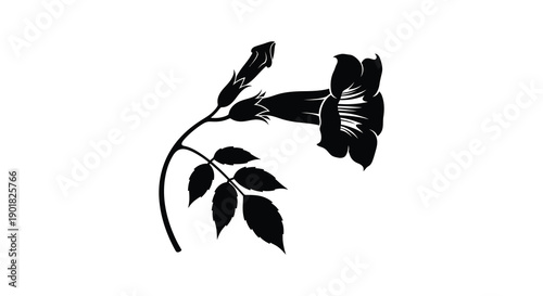 A striking black and white silhouette depicts a delicate trumpet vine blossom and leaves against a blank background