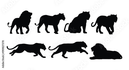 Silhouette depictions of lions in various poses and activities