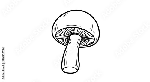Simple Line Drawing of a Mushroom.