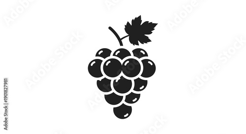 A simple black and white illustration depicts a bunch of grapes with a single leaf showcasing organic forms