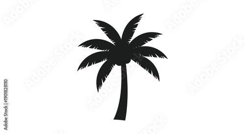 A stark silhouette of a palm tree stands prominently against a clean bright white background high quality professional