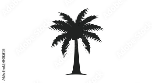 A striking silhouette of a mature palm tree stands prominently against a plain white background high quality professional