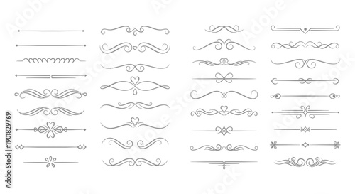 A collection of elegant decorative line dividers and ornaments in a variety of intricate scrollwork and floral designs.